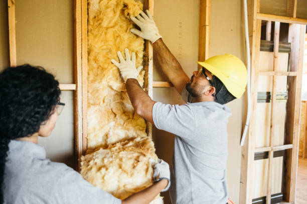 Best Soundproof Insulation Installation  in East Bangor, PA